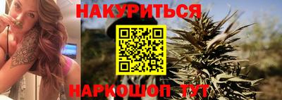 стаф Кингисепп
