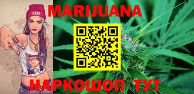 стаф Кингисепп