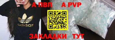 стаф Кингисепп