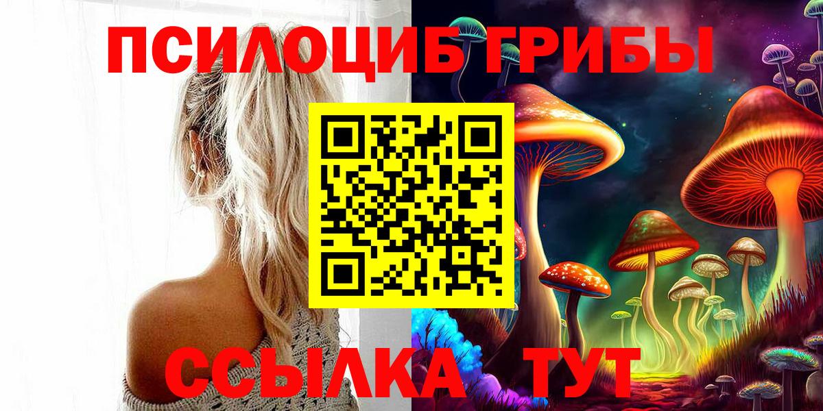 Кинель  Псилоцибиновые грибы Cubensis  цены наркотик  Вход с VPN 