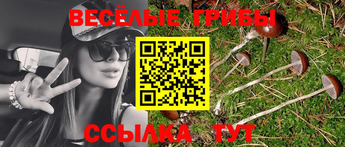 Псилоцибиновые грибы Magic Shrooms Кинель
